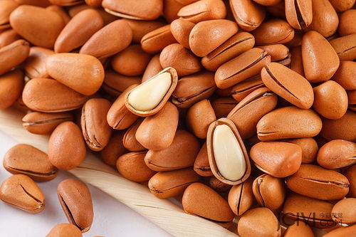 今彩視覺 專業(yè)年貨堅(jiān)果攝影，點(diǎn)亮淘寶食品拍攝新風(fēng)尚