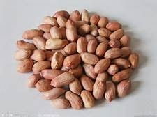 食物營養(yǎng)冠軍榜——干果 小小的能量庫，大大的健康寶