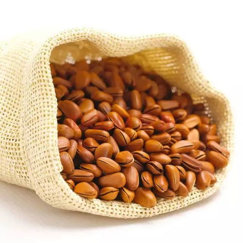 大雪時(shí)節(jié)養(yǎng)生，干果助您暖身又滋補(bǔ)